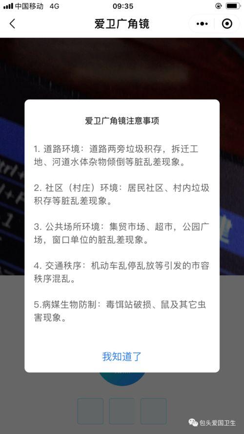 速度可不可以再快点：古言中的快意人生与情感纠葛